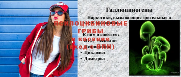 эйфоретик Баксан
