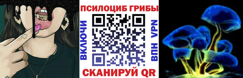 Галлюциногенные грибы мицелий  блэк спрут ссылки  это состав  Белоозёрский 